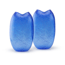 Load image into Gallery viewer, Murano PROMETEO pair vase
